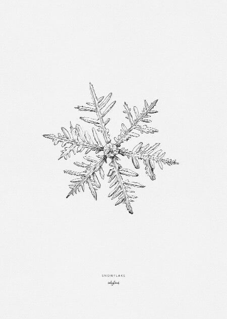 Winter Tattoo, Snow Tattoo, Snow Flake Tattoo, Snowflakes Drawing, Love Patience, Theme Tattoo, Nail Drawing, Winter Nail Designs, Christmas Drawing