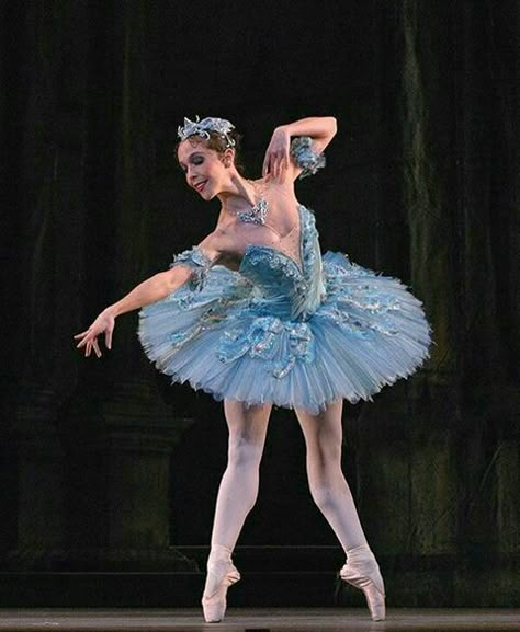 Dancer Pictures, Jordan Matter, Sleeping Beauty Ballet, Ballerina Costume, Ballet Aesthetic, The Sleeping Beauty, Ballerina Dance, Dance Ideas, Royal Ballet