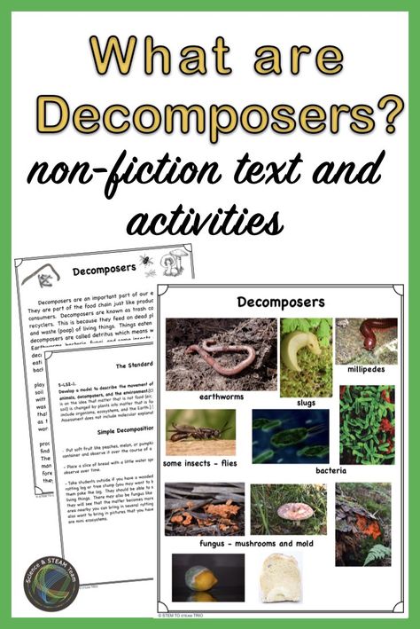 Do your students have a hard time understanding what decomposers are? This resource helps students gain a better understanding. There is a non-fiction text that tells students about different types of decomposers and their role in the environment. Follow-up questions for the passage to check student understanding  and two mini posters; one of the decomposers and one of matter that is being decomposed, and several simple decomposition activities are included.  #lessonplans  #scienceandsteamteam Decomposers Activity, Plant Adaptations Anchor Chart, Plant Adaptations Activities, What Is Deforestation, Erosion Weathering Deposition Activities, Compost Garden, Collaboration Station, Mini Posters, Montessori Elementary