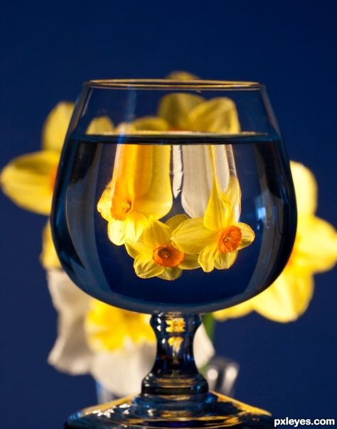 Springtime In a Glass ! Distorted Objects Photography, Photography Ideas Creative Objects, Refraction Photography Ideas, Light Through Glass Photography, Glass Distortion Photography, Reflection Photography Ideas At Home, Water Refraction Photography, Light Refraction Photography, Glass Of Water Photography