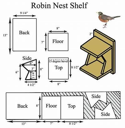 American Robin - Maryland's Wild Acres Robin Bird House, Robin Nest Box, Bluebird House Plans, Robin Nest, Shelf Plans, Birdhouse Plans, Ww Ideas, Bird House Plans Free, Bird Suet