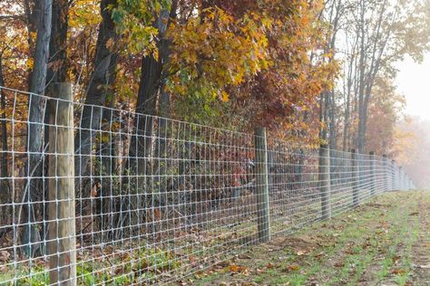 Woven Wire Fence Installation - ProFence LLC Woven Wire Fence Ideas, Dog Yard Fence, Woven Wire Fence, Goat Fencing, High Tensile Fence, Fence Types, Types Of Fencing, Goat Fence, Fence Quotes