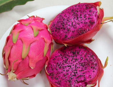 Dragon fruit , my favorite fruit of Hawaii Purple Dragon Fruit, Dragon Fruit Varieties, Dragon Fruit Tree, Dragon Fruit Pitaya, Pink Dragon Fruit, Dragon Fruit Plant, Red Dragon Fruit, Buah Naga, Fruit Du Dragon