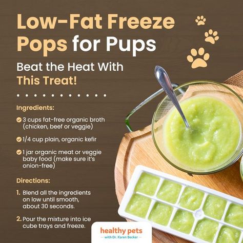 Dr. Karen Becker on Instagram: "Treat your pet to some healthy freeze pops today! 🍦🐕 📌 Tip: If your dog tends to swallow food without chewing it, freeze this recipe in a loaf pan instead to prevent them from swallowing the ice cubes whole. #PetTreat #IceCream #HealthyPets" Dog Frozen Treats, Birthday Dog Treats, Swallow Food, Foods Dogs Can Eat, Frozen Dog Treats, Healthy Dog Treats Homemade, Freeze Pops, Dog Wellness, Organic Meat