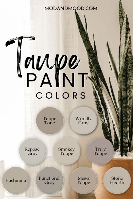 Cool Tone Greige Paint Colors, Soft Focus Behr Paint Living Room, Makeup Room Paint Colors, Soft Taupe Paint Colors, Family Room Paint Colors 2024, Taupe Bathroom Walls, Spare Room Paint Colors, Taupe Living Room Walls, Soft Focus Behr Paint