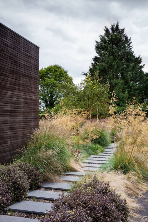 A modern garden by Elks-Smith for a sixtes bungalow | House & Garden London Garden, Landscaping Tips, Garden Landscape Design, Ornamental Grasses, Garden Inspired, House Garden, Back Garden, Country Gardening, Small Gardens