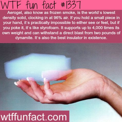 You searched for science - WTF Fun Facts Science Rules, Crazy Facts, Stay Woke, Interesting Topics, Knowledge Is Power, Tumblr Wallpaper, The More You Know, Blow Your Mind, Fun Science