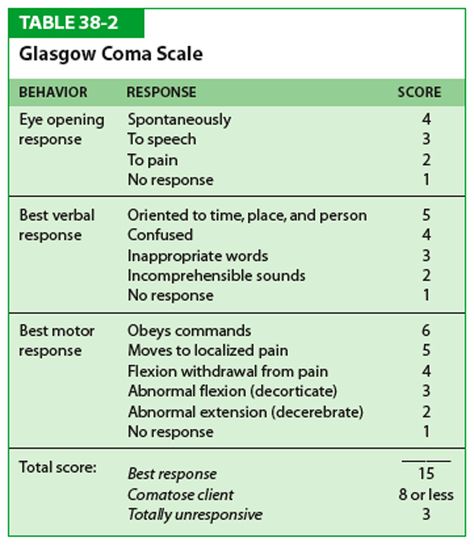 Nbcot Exam Prep, Nbcot Exam, Emt Study, Glasgow Coma Scale, Occupational Therapy Activities, Emt Paramedic, Nursing School Survival, Best Nursing Schools, Nursing School Studying