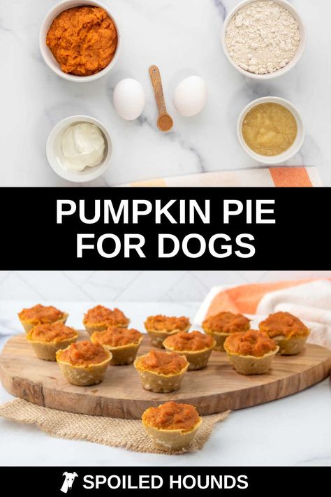 Doggie Pumpkin Treats, Mini Dog Pumpkin Pies, Doggie Pumpkin Pie, Pumpkin Pie Recipe For Dogs, Dog Friendly Pumpkin Pie, Thanksgiving For Dogs, Pumpkin Pie Dog Treats, Dog Pumpkin Pie Recipe, Pumpkin Pie For Dogs