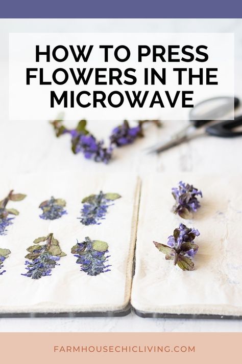 Microwave Pressed Flowers Diy, Microwave Drying Flowers, Pressing Fresh Flowers, How To Save Flower Petals, Diy Microwave Flower Press, Microfleur Flower Press, How To Press Fresh Flowers, Microwave Flower Drying, Pressing Roses Diy