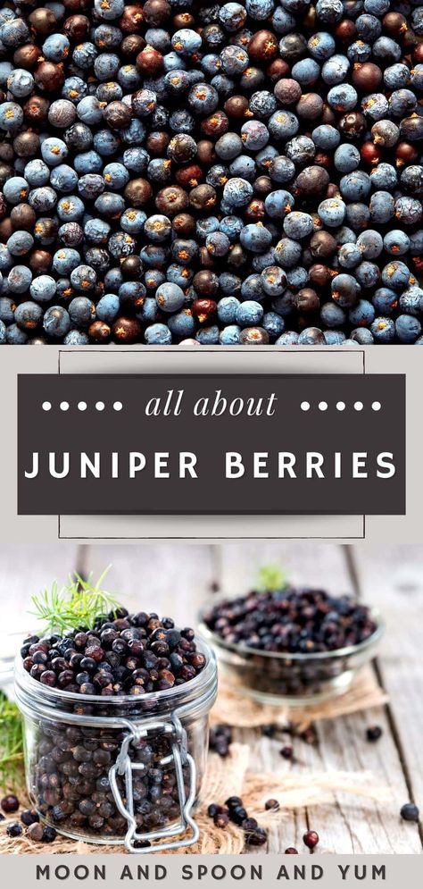 Juniper Berry Beads, Juniper Berries Illustration, What To Do With Juniper Berries, Dried Juniper Berry Recipes, Juniper Berry Candle Diy, Cooking With Juniper Berries, Juniper Berries Benefits, Juniper Berries Recipes, Juniper Berry Benefits