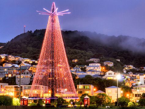 Christmas tree in Waitangi Park in Wellington, New Zealand New Zealand Christmas, Best Shots, Wellington New Zealand, Mormon Temple, Travel Channel, Small Island, Burj Khalifa, Holiday Lights, Christmas Pictures