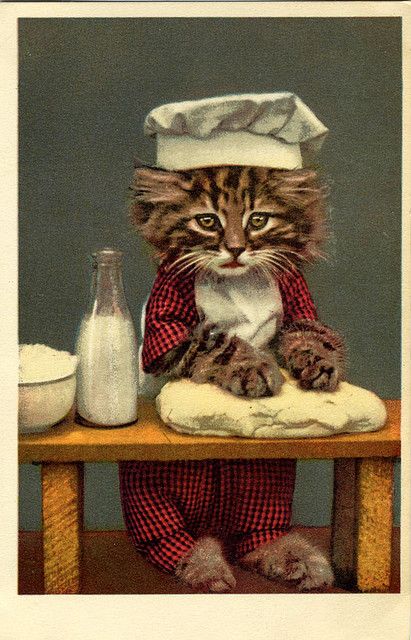 perfect in every way  I swear I had a book or something with these pictures when I was a child in the 1960s. Harry Whittier Frees, Vintage Cats, Image Chat, Cats In Art, Crochet Animal, Animal Patterns, Here Kitty Kitty, Bengal Cat, I Love Cats