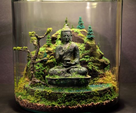 Ancient Buddha Zen Garden Terrarium Mini Jardin Zen, Buddha Zen Garden, Ancient Buddha, Terrariums Diy, Toples Kaca, Beautiful Terrariums, نباتات منزلية, Terrarium Ideas, Buddha Zen