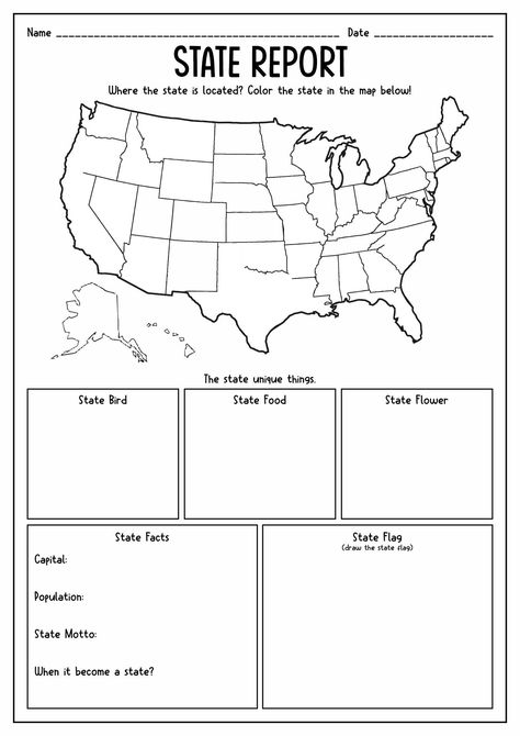 5th Grade Curriculum Homeschool, Elementary Social Studies Activities, 3rd Grade History Homeschool, First Grade Social Studies Lessons, 5th Grade Homeschool Ideas, Homeschooling 5th Grade, 4th Grade Social Studies Worksheets, 2nd Grade History, Homeschool 5th Grade