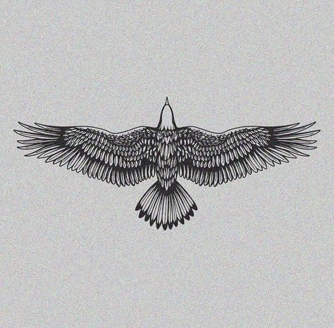 Bird Spreading Wings Tattoo, Crane Flying Tattoo, Sternum Bird Tattoo, Cactus Wren Tattoo, Tattoo Ideas Native American, Outlaw Tattoo For Women, Forearm Bird Tattoo, Mens Tricep Tattoos, Mens Traditional Tattoos