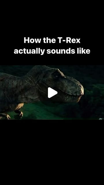 @trex.daily on Instagram: "Day 1" Sound Video, T Rex Humor, Funny Bunny, January 25, Funny Bunnies, Sounds Like, T Rex, Sound, Humor