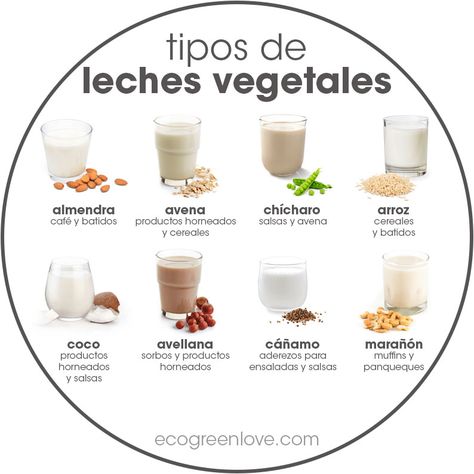 Medicinal Herbs Garden, Vegan Milk, Gluten Free Dairy Free Recipes, Vegetarian Cooking, Vegan Life, Health Diet, Dairy Free Recipes, Going Vegan, Gluten Free Dairy Free