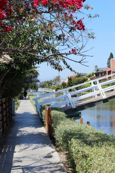 Venice Canals California, Venice Beach Canals, Venice Boardwalk, La Summer, California Restaurants, Cloud Craft, Muscle Beach, Venice California, Places In California