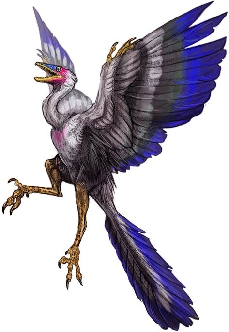 Archaeopteryx Drawing, Dragon Story, Raptor Dinosaur, Visual Development, Tabletop Games, Creature Design, Animal Illustration, Main Characters, Dinosaurs