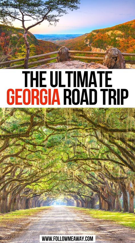 Ultimate Georgia Road Trip Traveling Georgia Country, Georgia Trip Ideas, Georgia Waterfalls Road Trip, Georgia Road Trip Places To Visit, Georgia Bucket List Places To Visit, Southeast Road Trip, Georgia Vacation Places To Visit, Places To Go In Georgia, Georgia Road Trip