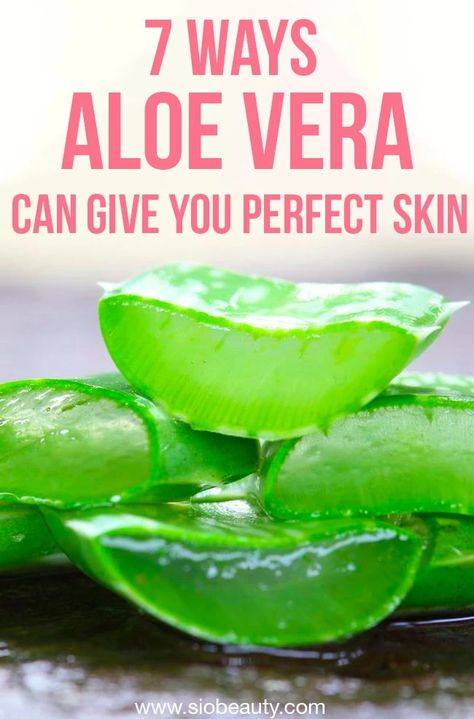 The fleshy leaves of Aloe Vera contain a gel that is packed with nutrients, active enzymes, vitamins, minerals, and amino acids. Here's how you can use it to treat a wide variety of skin ailments and conditions #naturalskincare #aloevera #skincaretips Aloe For Face Skin Care, Alovera For Skin How To Use, Aloe Vera Face, Aloe Vera For Face, Aloe Vera Benefits, Aloe Vera For Skin, Nutrition Label, Healthy Nutrition Plan, Aloe Vera Face Mask