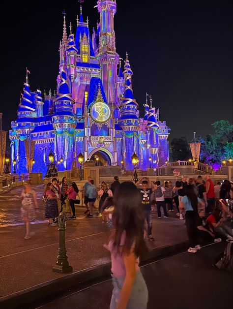 Disney World Aesthetic Pictures, Disney Girl Aesthetic, Disney Asthetics Photos, Disney World Instagram Pictures, Disney At Night, Disney Core, Disneyland Fireworks, Castle At Night, Disney World Aesthetic