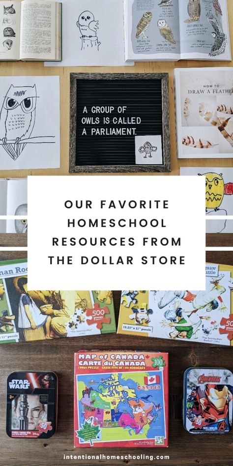 Dollar Store Homeschool, Dollar Tree Homeschool Ideas, Dollar Tree Homeschool, Diy Homeschool, Red School House, Bible Homeschool, Homework Organization, Clean Book, School Homework