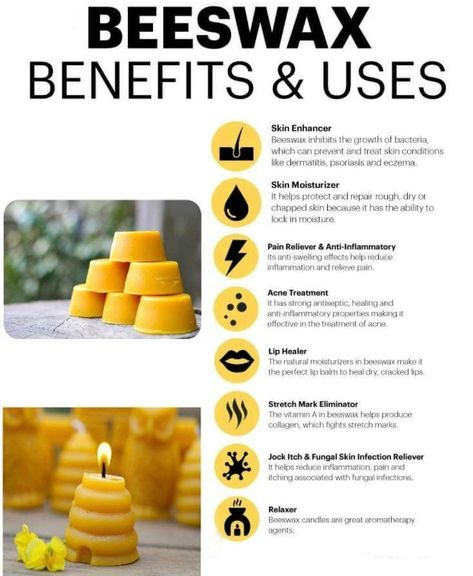 Did you know honeybees consume 6-8 pounds of honey or nectar in order to produce 1 pound of beeswax? Rare and expensive as bees must fly aproxamately 150,000 miles just to secrete one pound of wax. For every 100 pounds of honey harvested, beekeepers obtain about 1-2 pounds of beeswax. Beeswax is an incredible byproduct from the hive with a multitude of uses and benefits. Beeswax Uses, Bee Wax Candles, Cracked Lips, The Hive, One Pound, Natural Moisturizer, Beeswax Candles, 1 Pound, Non Toxic