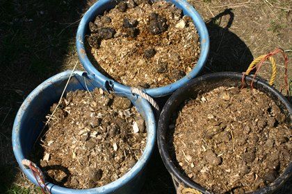 Use Caution when Fertilizing with Raw Horse Manure Manure Composting, Manure Management, Horse Manure, Natural Fertilizer, Horse Feed, Gardening 101, Composting, Urban Farming, Organic Matter