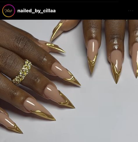 Fall Nail Designs Stiletto Shape, Brown Stiletto Nails Design, Pointed Nail Ideas, White And Gold Stiletto Nails, Gold Stilletos Nails, Stilleto Nails Long Designs, Gold Nails Stiletto, Stiletto Nails Gold, Black And Gold Stiletto Nails