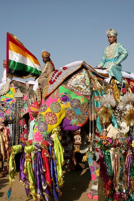 Cada mes de marzo, el colorido Elephant Festival de Jaipur despliega un sinfín de colores y fiesta en torno a uno de sus animales más queridos. Elephant Festival, Elephant India, Indian City, Indian Elephant, Elephant Love, Exotic Places, Festival Celebration, Elephant Art, An Elephant