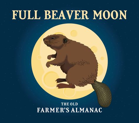 @Vitae_Care : https://t.co/7vfI7CQjKX  #Health #InHomeHealthCare Algonquin Tribe, November Full Moon, Beaver Moon, Frost Moon, Full Moon Names, Moon Facts, Moon Date, Origin Of Halloween, Moon Names