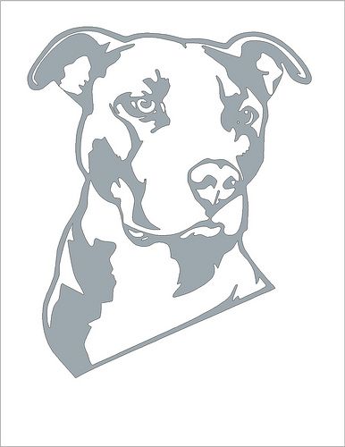 Pitbull pumpkin carving stencil | HAPPY HALLOWEEN! I'm not s… | Flickr Pitbull Drawing, Dog Stencil, Pitbull Tattoo, Dog Breeders, Dog Pumpkin, Grey Bar, Pumpkin Carvings Stencils, Pumpkin Stencil, Large Stencils