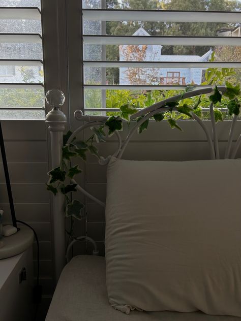 Vine Bed Frame, Vines On Bed Frame, Metal Bed Frame, Silk Pillowcase, Bedroom Inspo, Window Decor, Shutters, Cozy House, Pretty Pictures