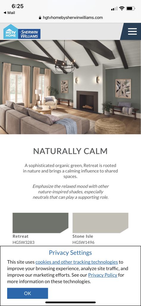 Green Living Room Vaulted Ceiling, Vaulted Ceiling Living Room Paint Wall Colors, Vaulted Ceiling Living Room Paint Wall Colors Exposed Beams, Sage Green Living Room, Vaulted Ceiling Living Room, Green Living Room, Sage Green Bedroom, Vaulted Ceilings, Favorite Paint Colors