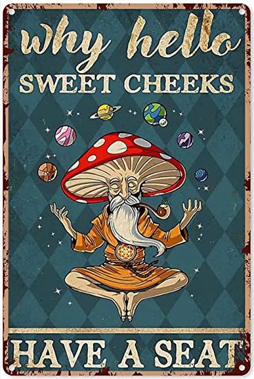 Hippie Posters, Hello Sweet Cheeks, Retro Bathrooms, Bathroom Themes, Bar Wall Decor, Vintage Tin Signs, Retro Wall Decor, Sweet Cheeks, Home Bar Decor