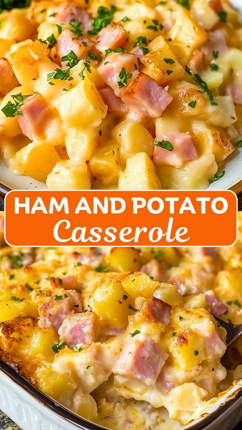 Ham And Bean Casserole Recipes, Easy Meals With Ham, Cheesy Potato Ham Casserole, Easy Ham Casserole Recipes For Dinner, Ham And Potatoes Casserole Recipes, Ham And Cheese Potato Bake, Easter Pot Luck Dishes For A Crowd, Casseroles Using Ham, Ham For Dinner Main Dishes