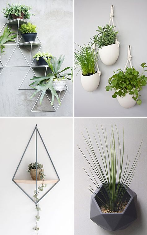 Here are 10 examples of stylish and modern wall mounted planters that will help you get your plants off your surfaces and onto your walls. Wall Mounted Plant Holder, Wall Plant Holder, Corner Decoration, Plants Hanging, Indoor Plant Wall, Wall Mounted Planters, Wall Corner, Plant Wall Decor, Diy Wand