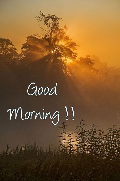 Good Morning Nature Images, Latest Good Morning Images, Good Morning Image, Good Morning Greeting Cards, Happy Morning Quotes, Good Morning Nature, Good Morning Flowers Quotes, Good Morning Images Hd, Happy Good Morning Quotes