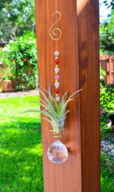 Image result for air plant coils with crystals Air Plants Diy, Air Plant Garden, Air Plants Decor, Air Plants Care, Plant Hanging, Plant Crafts, Air Plant Display, Air Plant Terrarium, Glass Balls