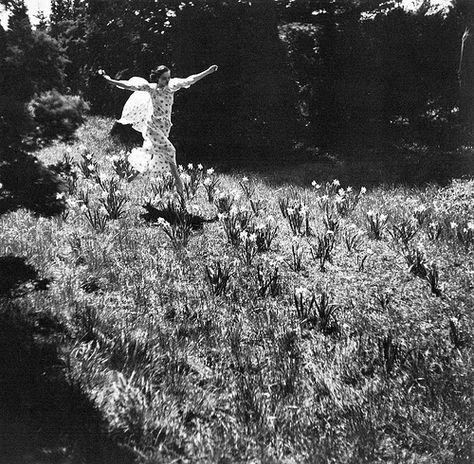 "Crazy with the Heat .", photo by Toni Frissell, Vogue, July 1937 Toni Frissell, American Soldiers, Design Visual, Harper's Bazaar, White Photo, Flower Field, Vintage Photography, White Photography, Bald Eagle