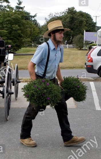 Amish Fashion, Amish Living Lifestyle, Amish Buggy Pictures, Amish Men, Amish Horse And Buggy, Amish Life, Amish Community, Costumes Diy, Daily Facts