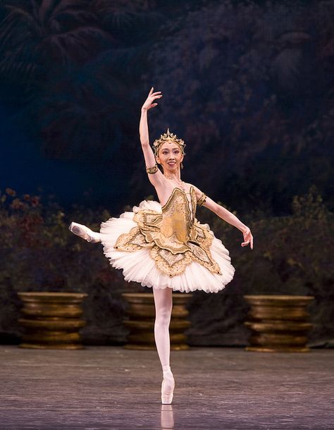 La Bayadere Sleeping Beauty Ballet, Ballet Images, Ballet Russe, Tutu Ballet, Ballet Beauty, White Tutu, Bolshoi Ballet, The Ballerina, Ballet Art