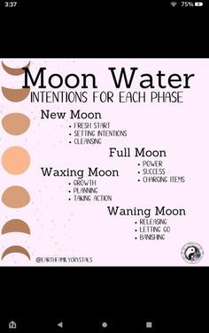 Wiccan Tips, Make Moon Water, Spiritual Awakening Signs, Moon Water, Succession Planning, Witchy Stuff, Sun And Water, Water Recipes, Moon Magic