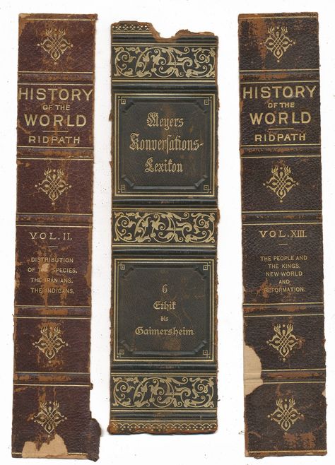 Old Book Spines, Vintage Book Spines, Book Spine Design, Old Book Paper, Old Bible, Ornate Books, Book Spines, Oldest Bible, Yearbook Covers