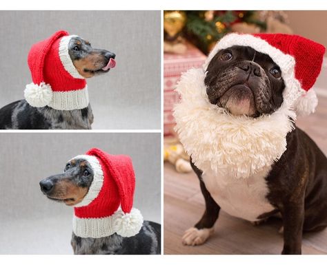 Santa Hats for Dogs Free Knitting Patterns Knit Dog Snood Free Pattern, Knitted Hat For Dog Free Pattern, Santa Baby Song, Dog Beanie Pattern, Coats For Dogs, Hats For Dogs, Crochet Elf Hat, Crochet Elf, Christmas Tree Hat