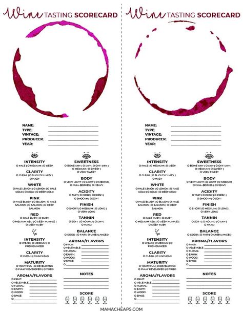 Wine Tasting Chart, Tasting Table Design, Wine Tasting Card, Wine Tasting Guide, Vineyard Photography, Wine Tasting Notes, Concept Stores, Pouring Wine, Wine Event