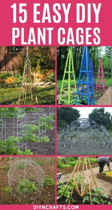 Keep your plants standing tall with this great list of DIY plant stands, plant cages, and plant supports! Make your own with easy to follow tutorials! #gardening #plants #homemade #woodworking #PlantStands #PlantCages #PlantSupports #Garden #GardenSupplies Plant Cage Ideas, Garden Plant Supports Diy, Pepper Plant Support, Hydrangea Support Ideas, Diy Plant Support Ideas, Homemade Trellis Ideas, Graden Idea, Garden Cages, Trellis Ideas Garden