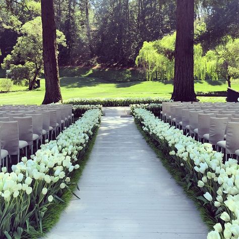 Thousands of #tulips line the ceremony aisle for our recent spring #Napa wedding. Meticulously planted by the amazingly talented @kathleendeerydesign. Simply stunning against the verdant @meadowoodnews backdrop. @ndornp @ckostow who's your favorite wedding planner?? Vogue Bride, Tie The Knot Wedding, Wedding Isles, Tulip Wedding, Wedding Altars, Luxury Wedding Venues, Wedding Location, Vogue Australia, Wedding Aisle